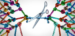 Why Detaching from Your Job After Working Hours Enhances Your Job Performance