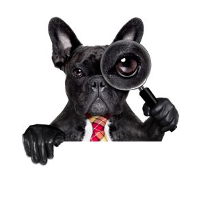 Creating a Trustworthy Online Presence - the Academy