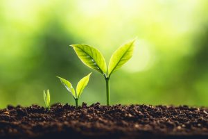 The Transformative Power of Coachability: How to Catalyze Your Growth - the Academy