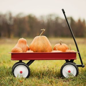 Pumpkin Kisses and Harvest Wishes - the Academy
