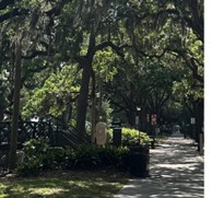 Spring Summit 2025: Reflecting, Refueling, and Reimagining in Savannah - the Academy